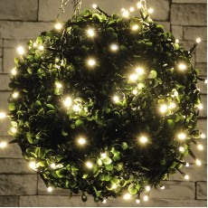 Premium Outdoor Battery Operated Warm White String Lights with Timer