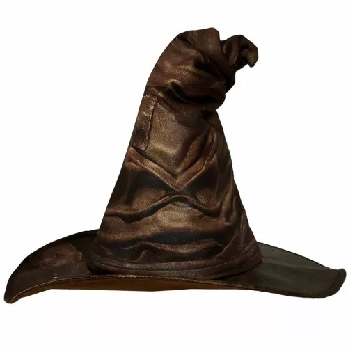 Buy Harry Potter Sorting Hat Official (Kids) | Party Chest