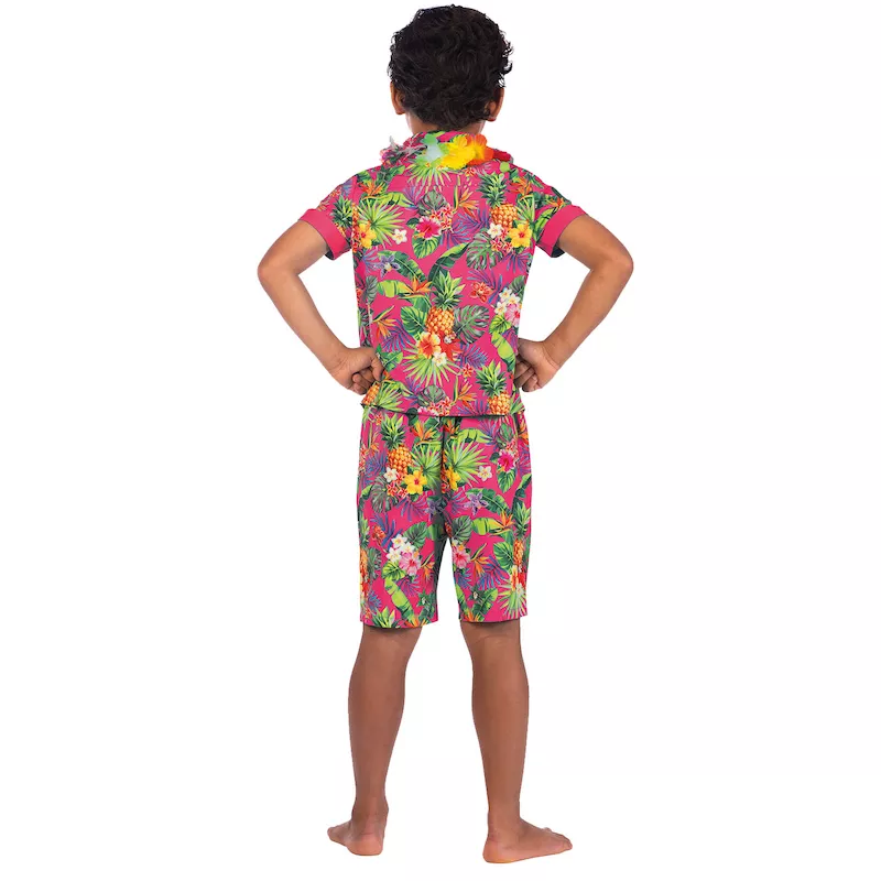 Fancy dress hot sale hawaiian outfit