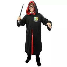 Buy Harry Potter Sorting Hat Official (Kids)