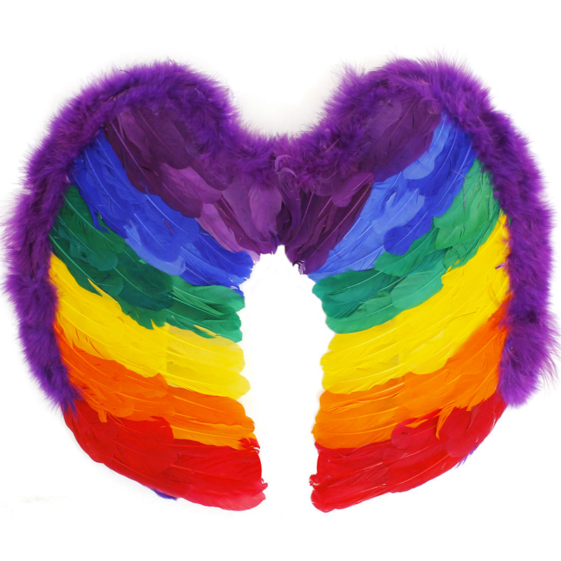 Buy Large Rainbow Feather Wings Party Chest